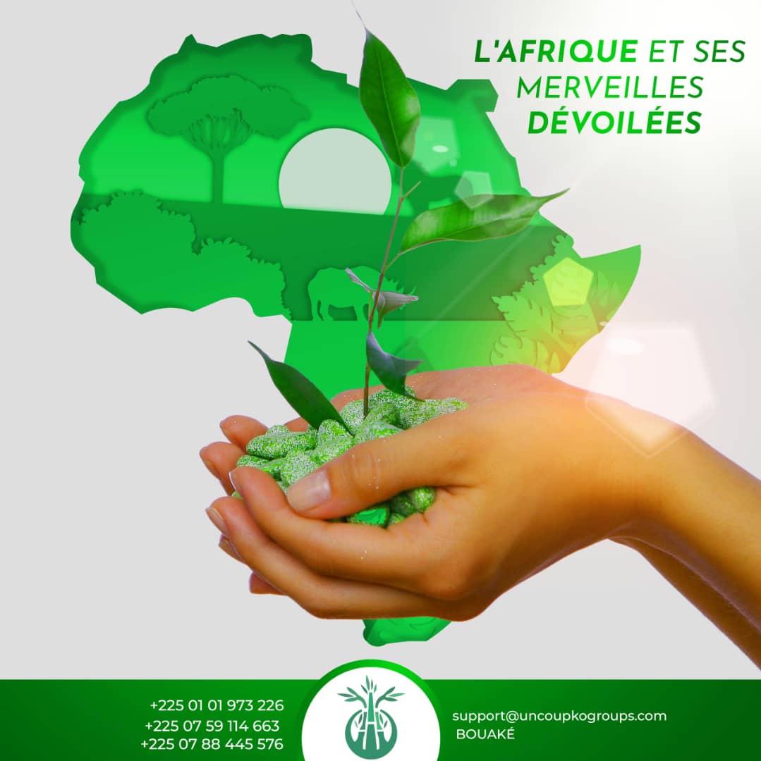 Le kit des 2 boîtes d'ulcère un coup ko